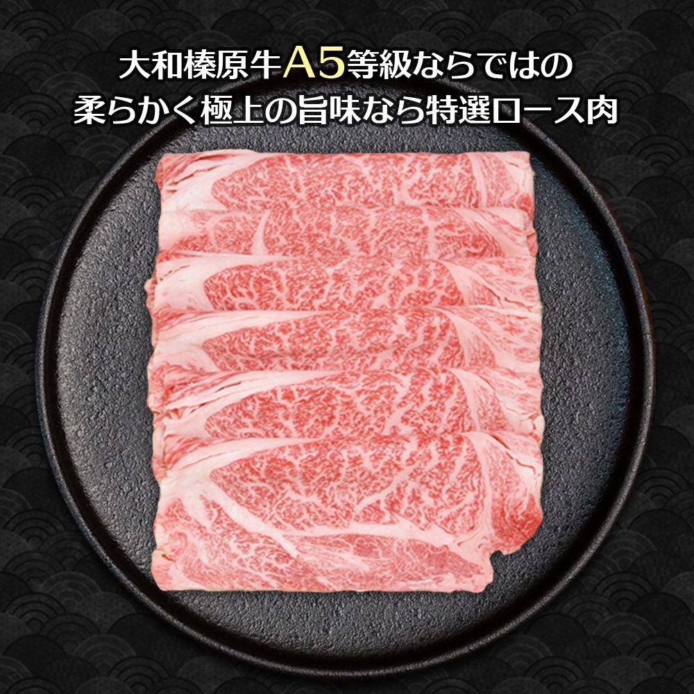  ߥե ¿ µ A5  400g ֤ եȢ ̵     £ £ʪ 