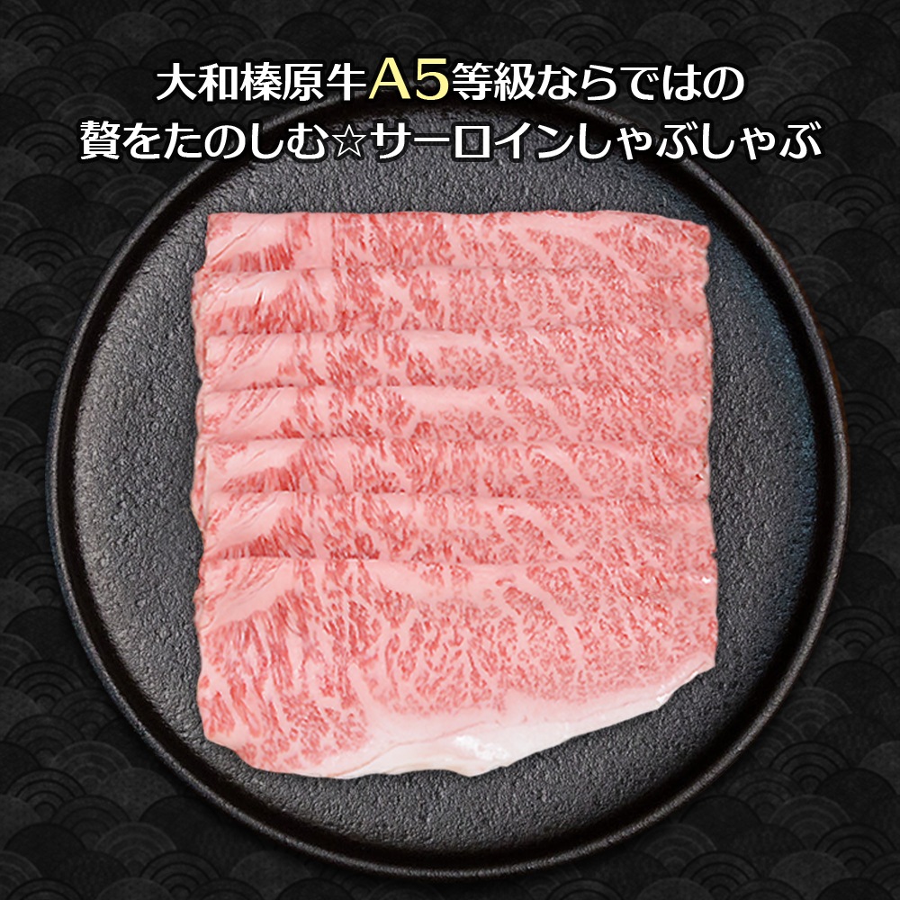  ߥե ¿ µ A5 ˾ 600g ֤ եȢ ̵     £ £ʪ 