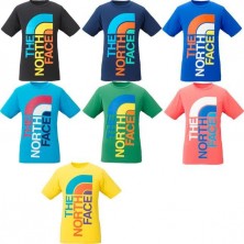 ノースフェイス　THE NORTH FACE　Tシャツ メンズ トライバートティー デカロゴ BIGロゴ NT31555