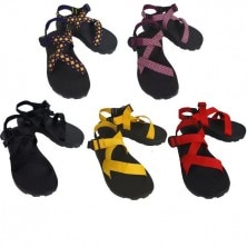 Chaco ���㥳 ������� Ws Z1���ʥ������ץ����� ��ǥ�����