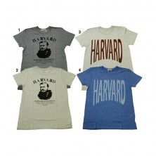 HARVARD カレッジTシャツ