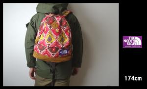 ノースフェイス パープルレーベル ナナミカ ミディアム