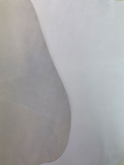 �����ס���