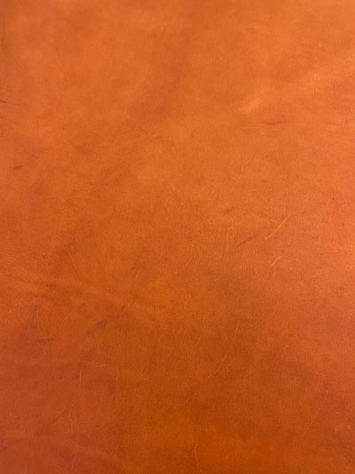 �ò��ȥ������Υ꡼���硨24����������