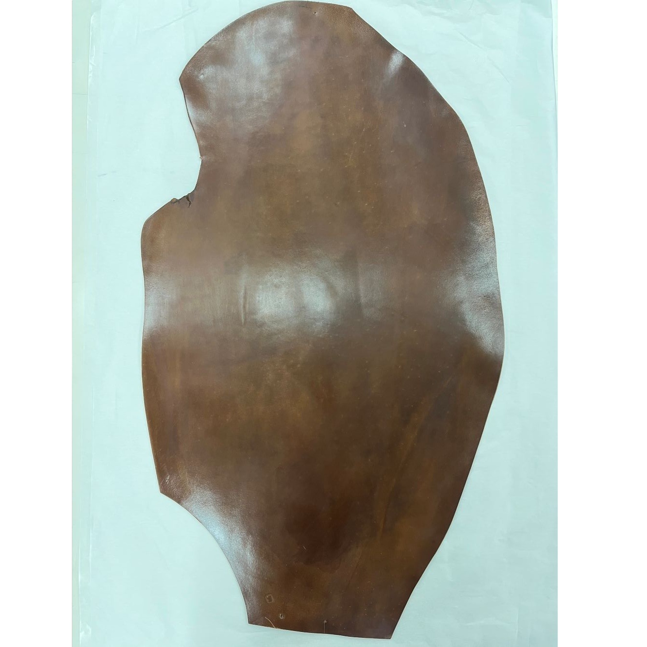 �ò������륳���ɥХ�16���С��ܥ�