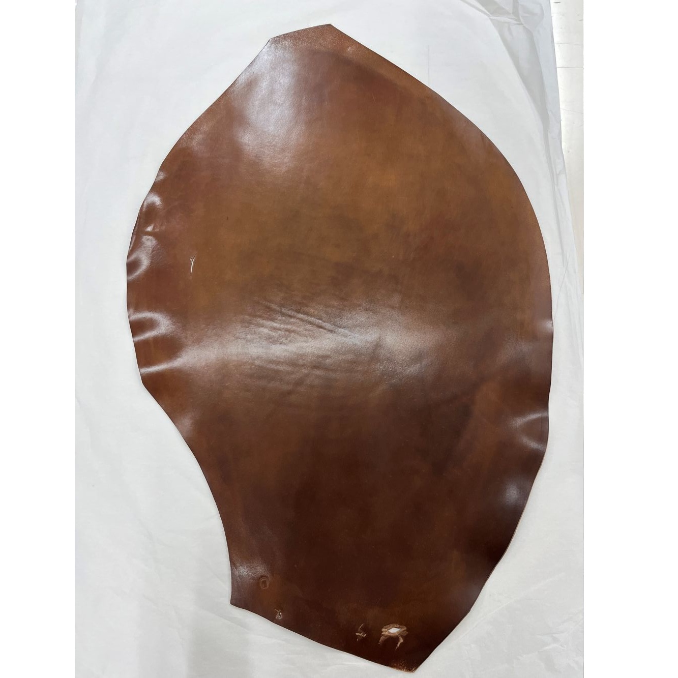 �ò������륳���ɥХ�19���С��ܥ�