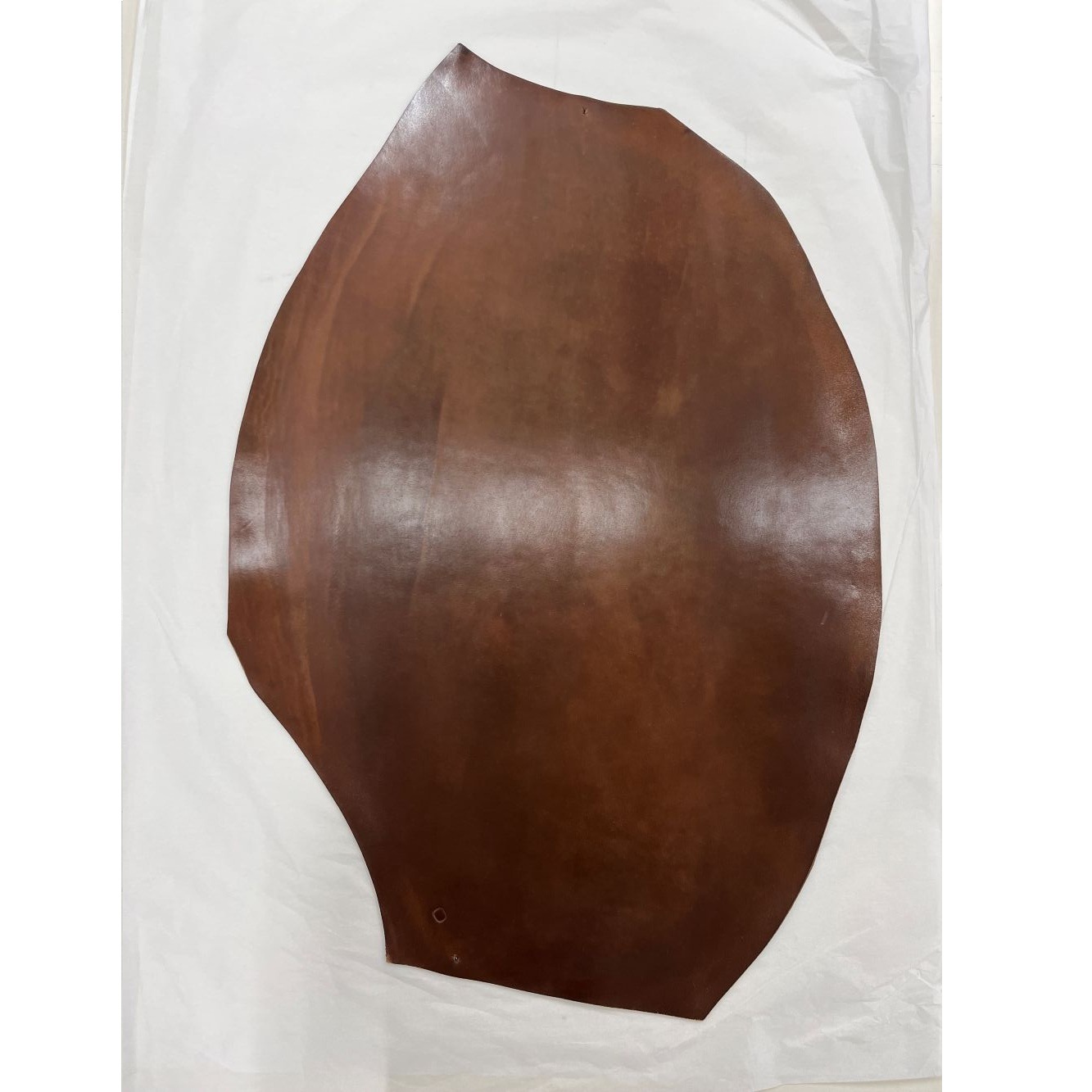 �ò������륳���ɥХ�20���С��ܥ�