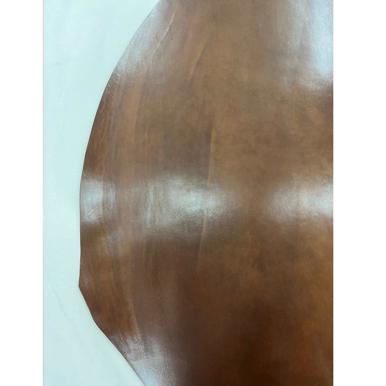 �ò������륳���ɥХ�20���С��ܥ�