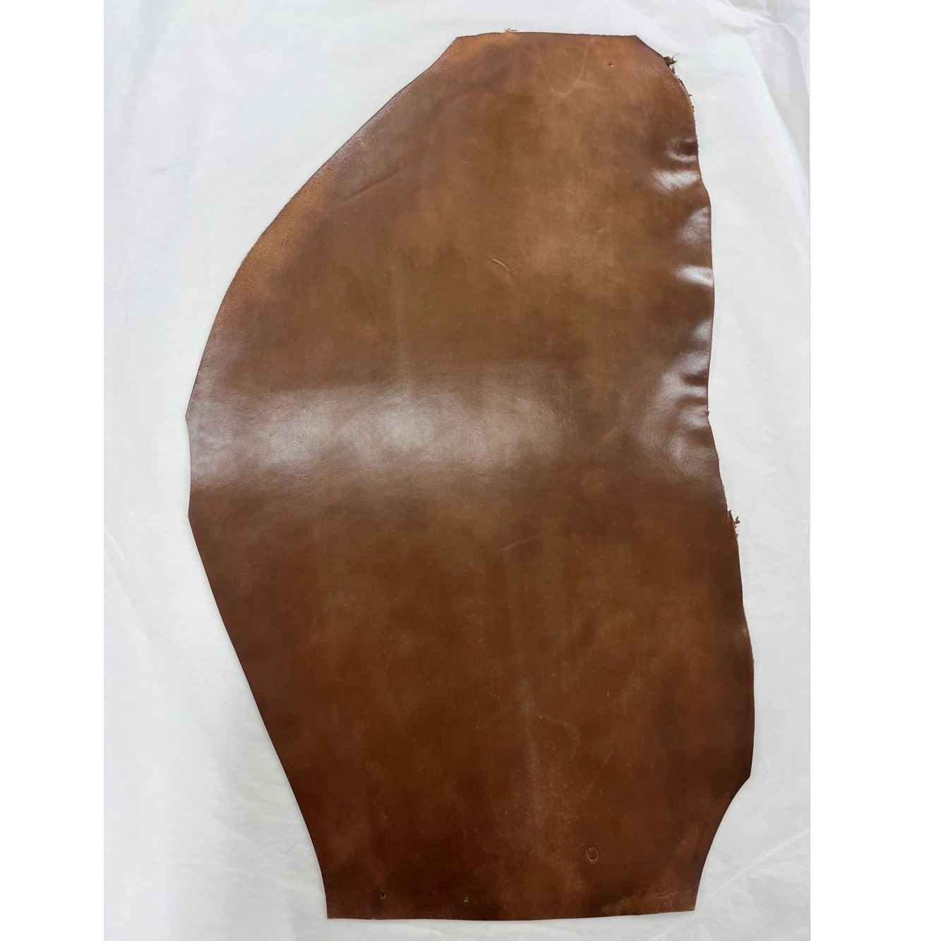 �ò������륳���ɥХ�21���С��ܥ�