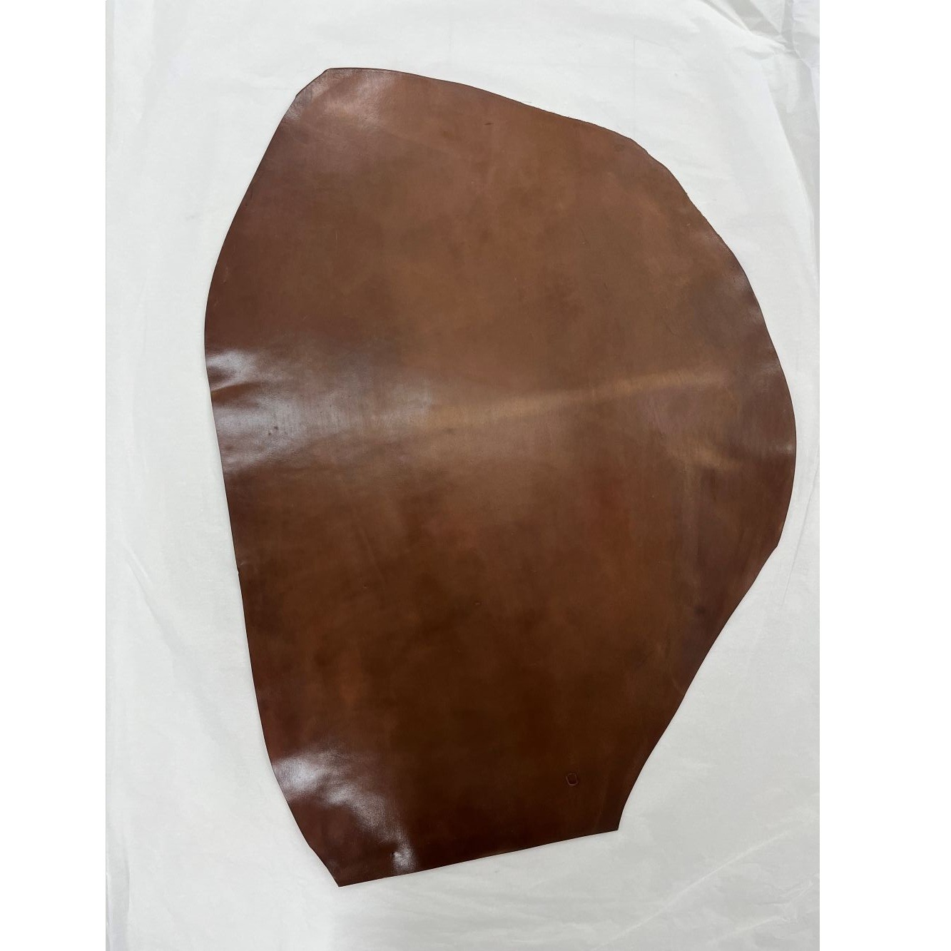 �ò������륳���ɥХ�22���С��ܥ�