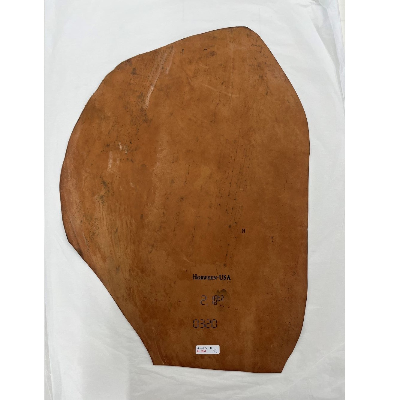 �ò������륳���ɥХ�22���С��ܥ�