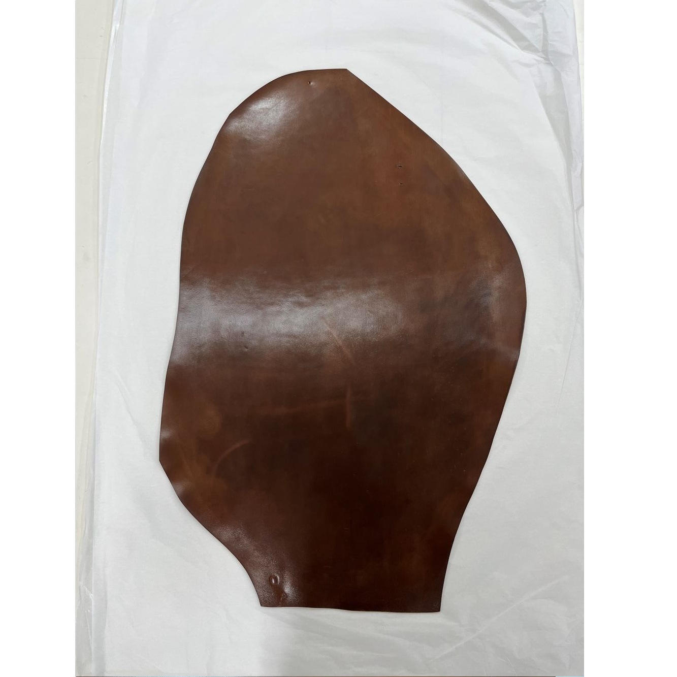 �ò������륳���ɥХ�23���С��ܥ�