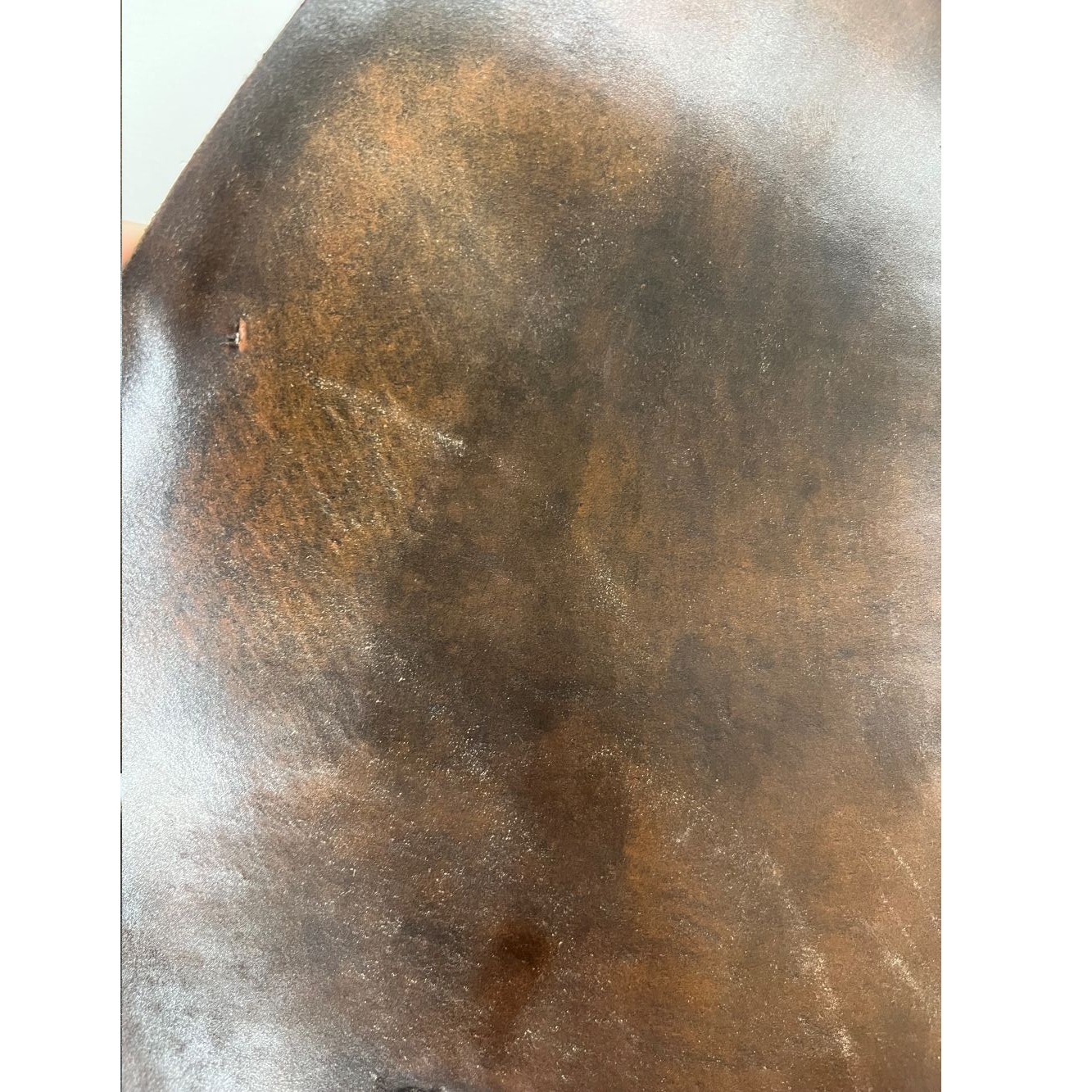 �ò������륳���ɥХ�27���ޡ��֥�D.���˥�å�