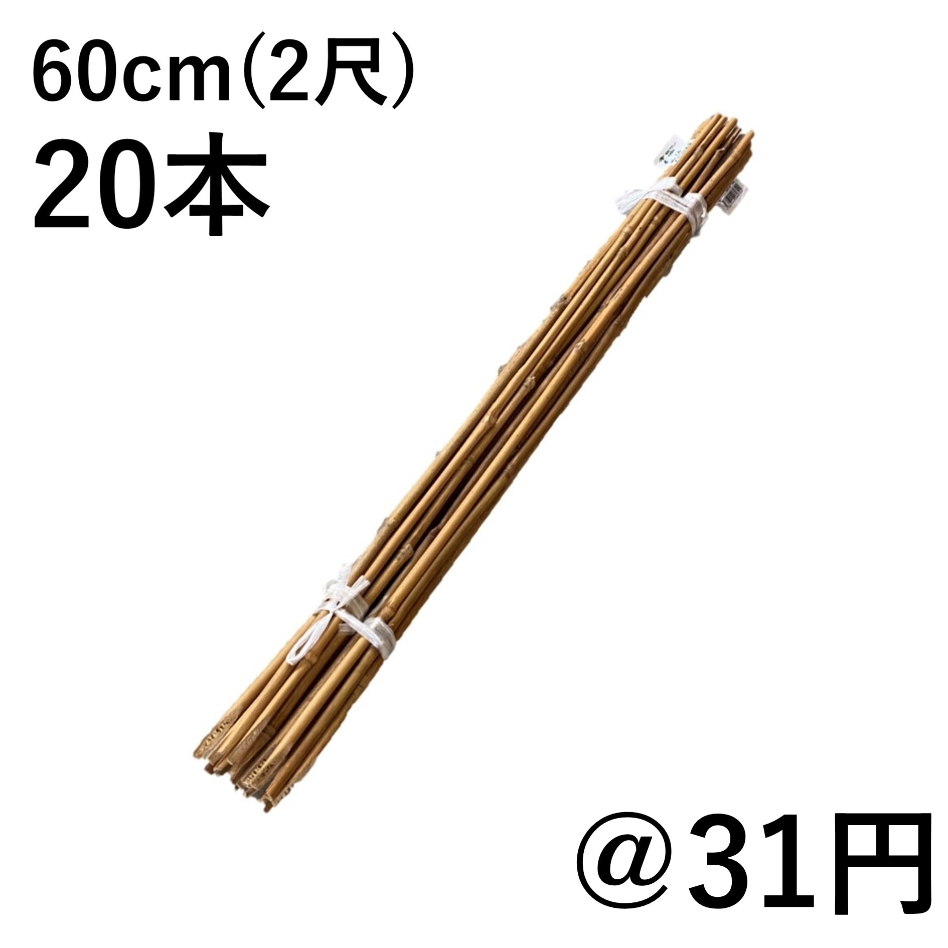 60cm(2尺) 女竹 60cm(2尺) 女竹