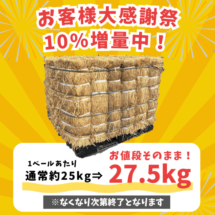 長わら 1/4カット2個セット（約12kg） 農業・園芸用 敷きわら 天然の