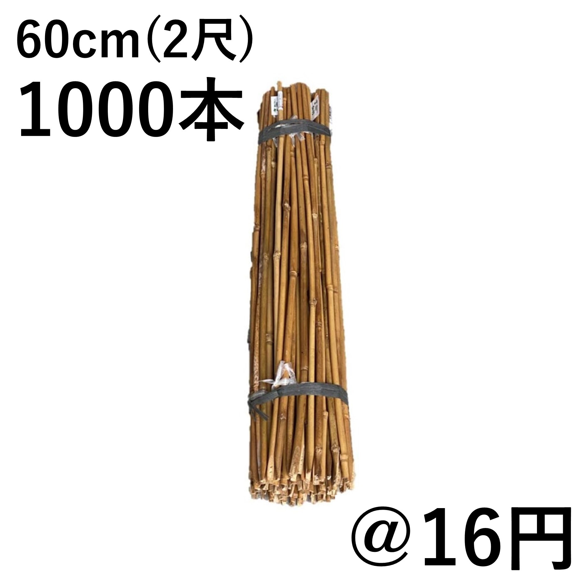 女竹 60cm（2尺）×1000本 篠竹 農業用、園芸用の支柱など