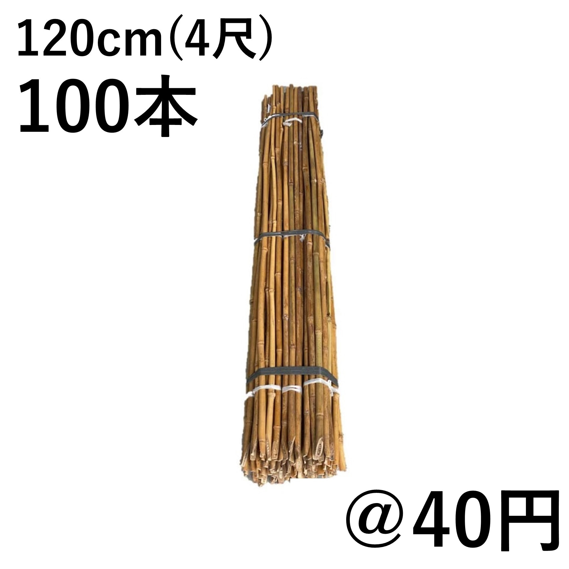 女竹 120cm（4尺）×100本 農業用、園芸用の支柱などに