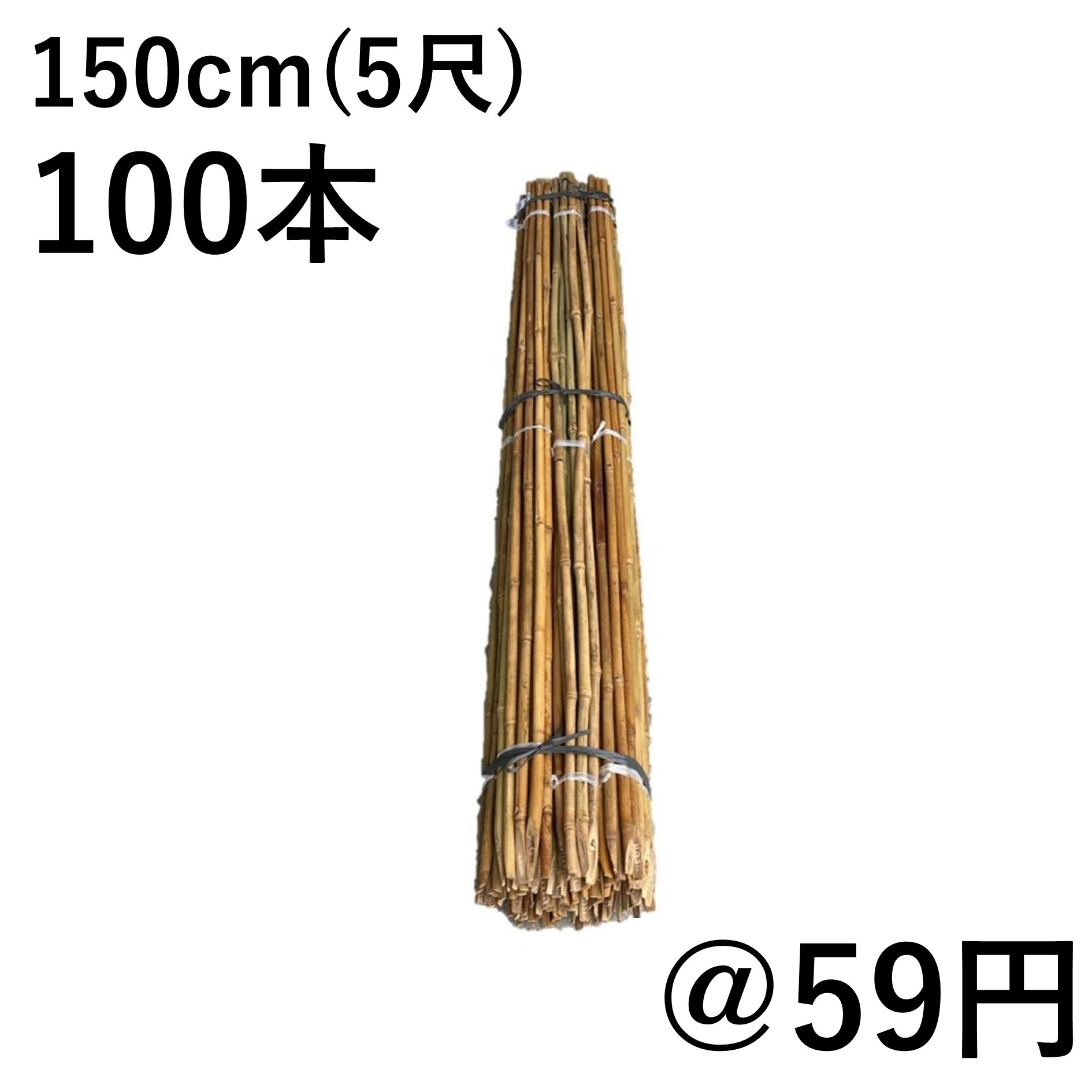 女竹 150cm（5尺）×100本 篠竹 農業用、園芸用の支柱など