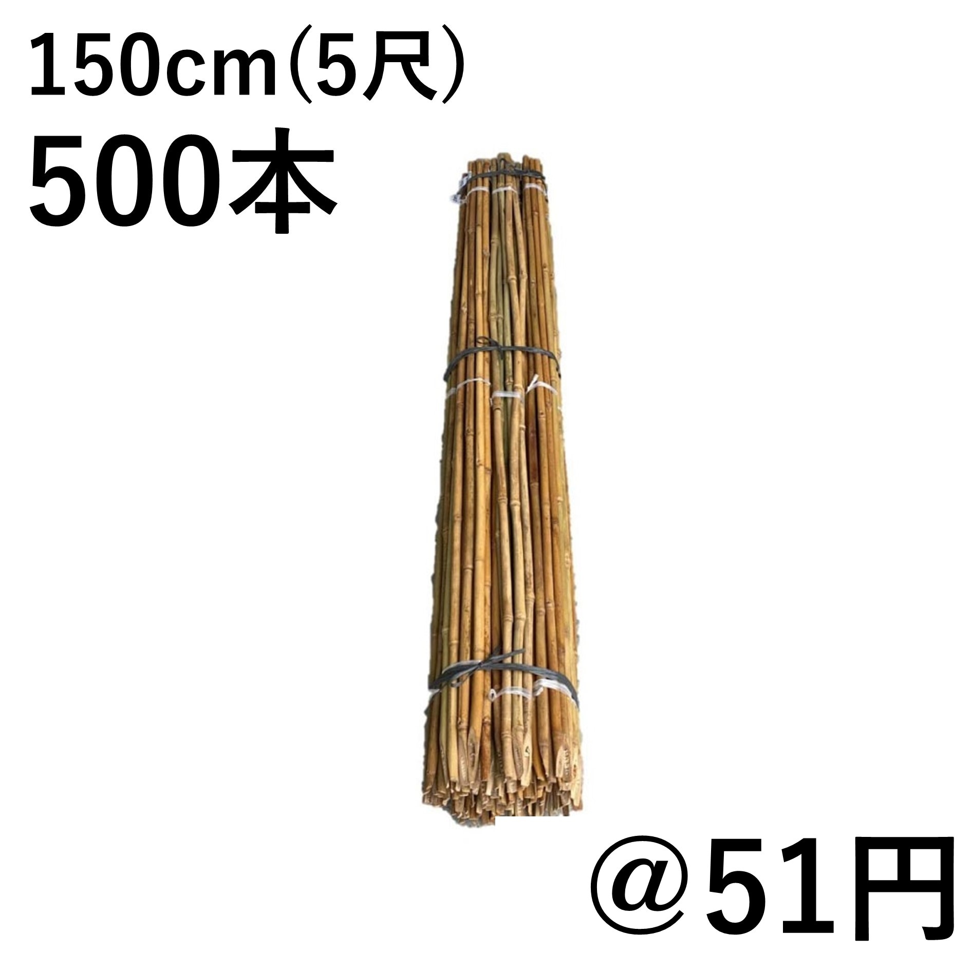 女竹 150cm（5尺）×500本 篠竹 農業用、園芸用の支柱など
