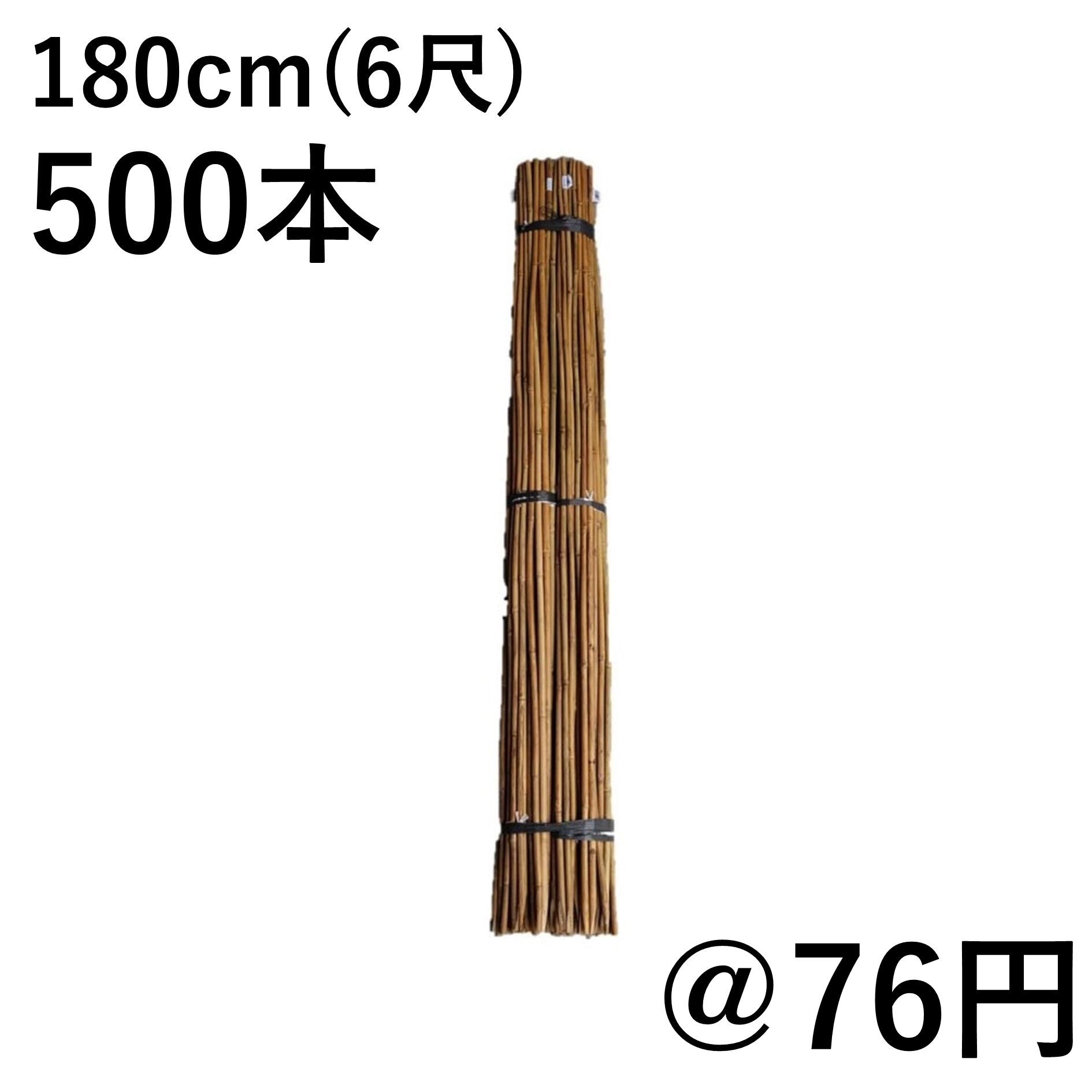 180cm（6尺） 女竹