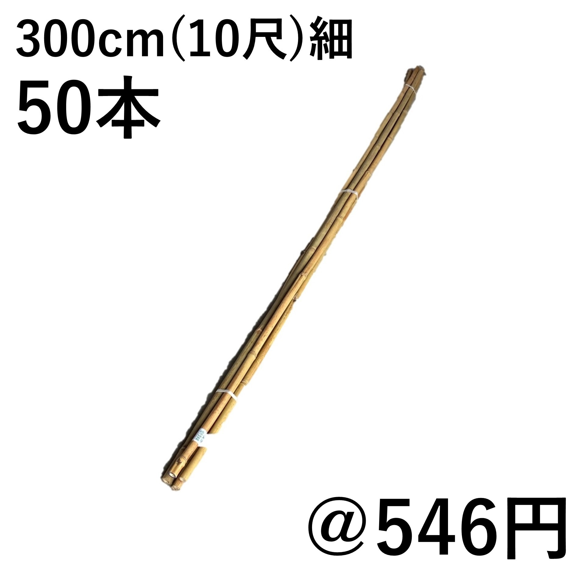 女竹 300cm（10尺）細 10本（カットなし） 篠竹 農業用、園芸用の支柱