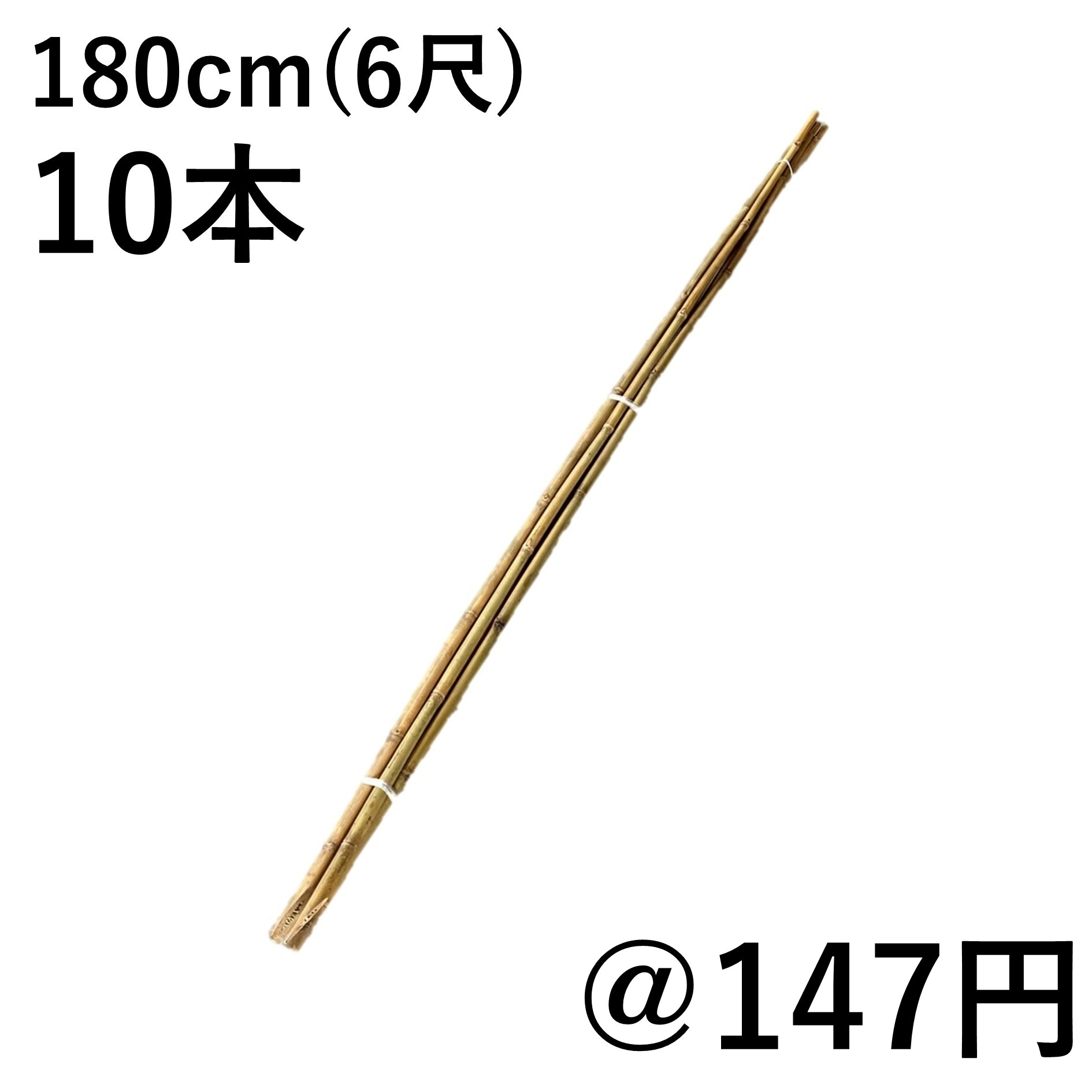 燻竹 篠竹女竹 t-pain 楽天市場】女竹 150cm 10本 篠竹 竹支柱 添え木 園芸用 農業用 定植時