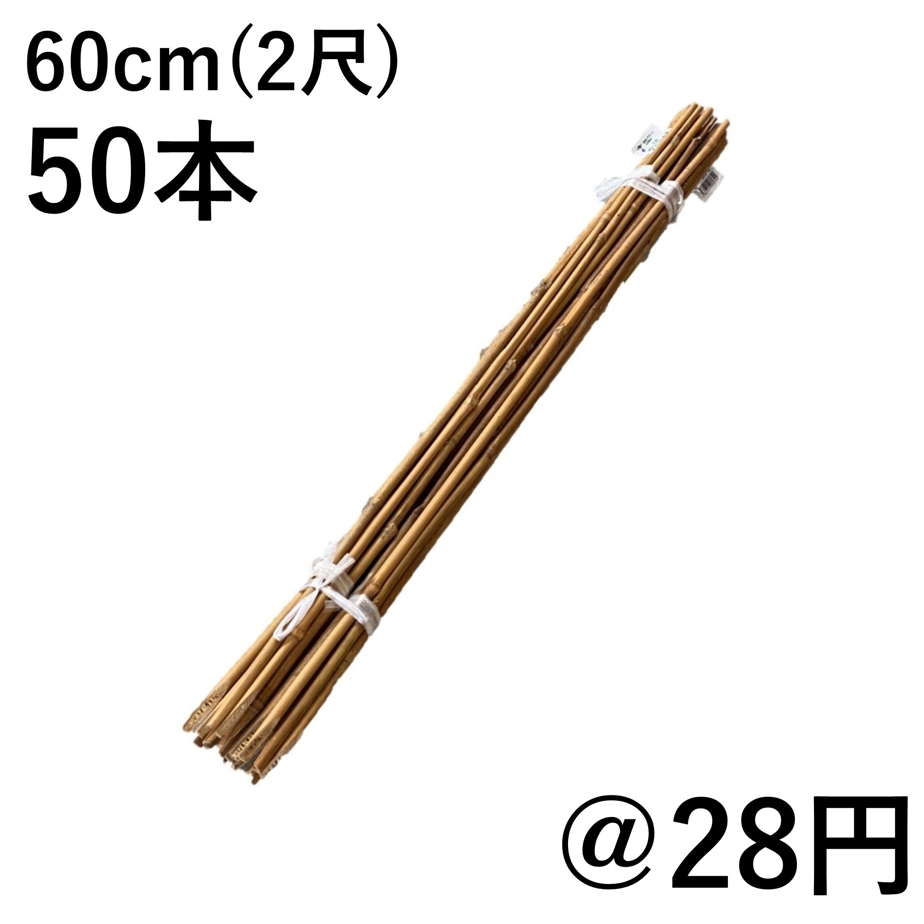 燻竹 篠竹女竹 t-pain 000000000364_2BzBDak.jpg