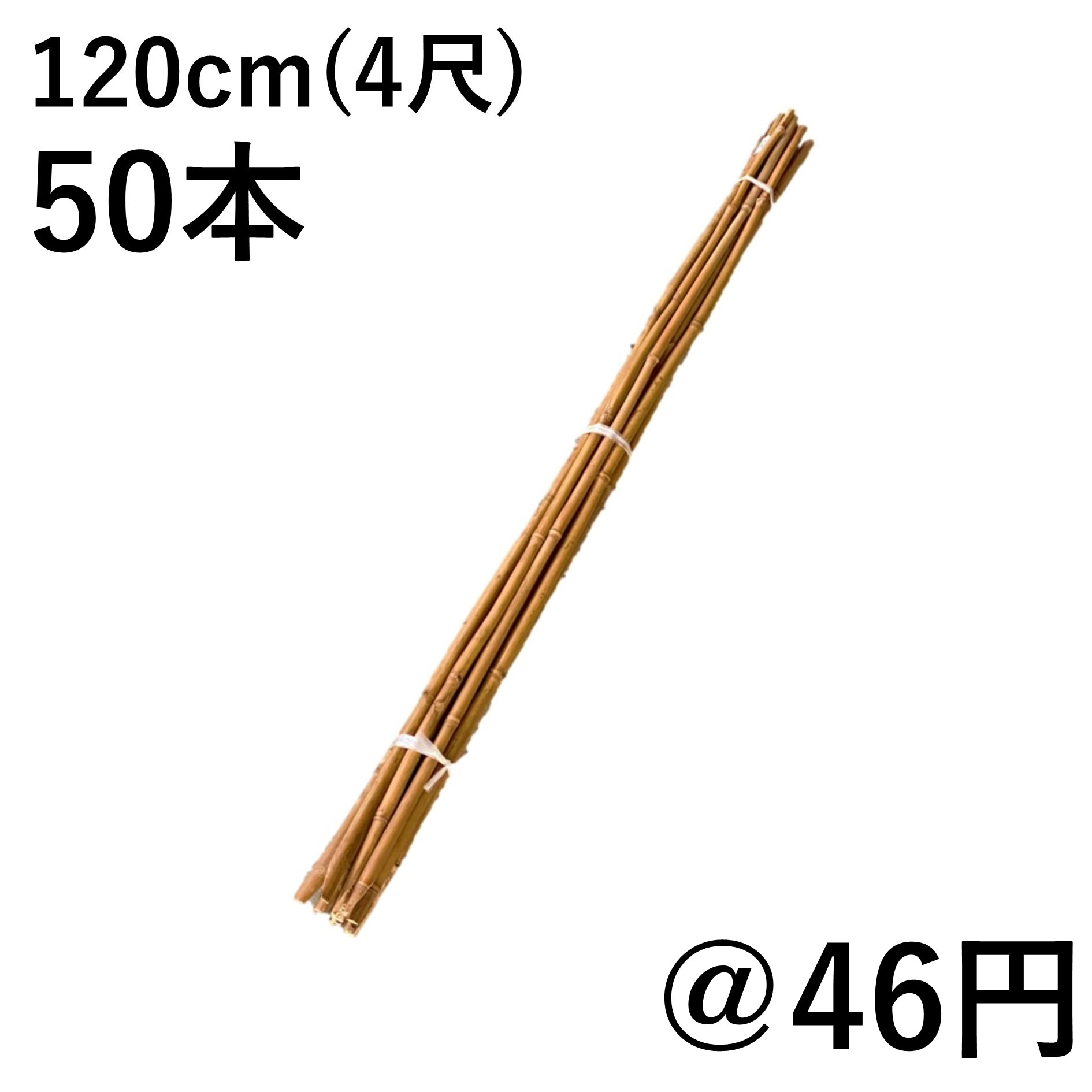 女竹 120cm（4尺）×50本 篠竹 農業用、園芸用の支柱など 竹 支柱
