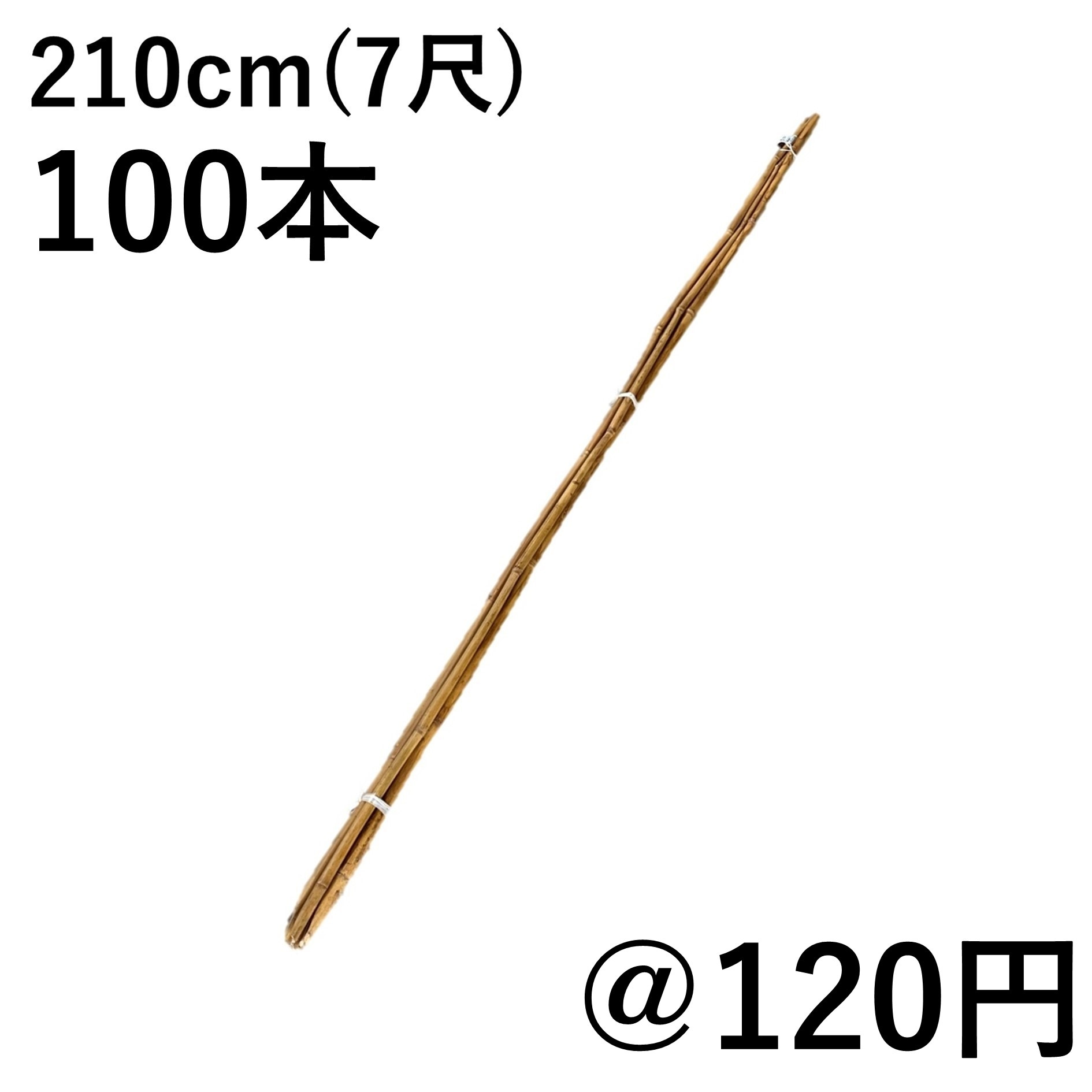 000000000370_S7s67jM.jpg