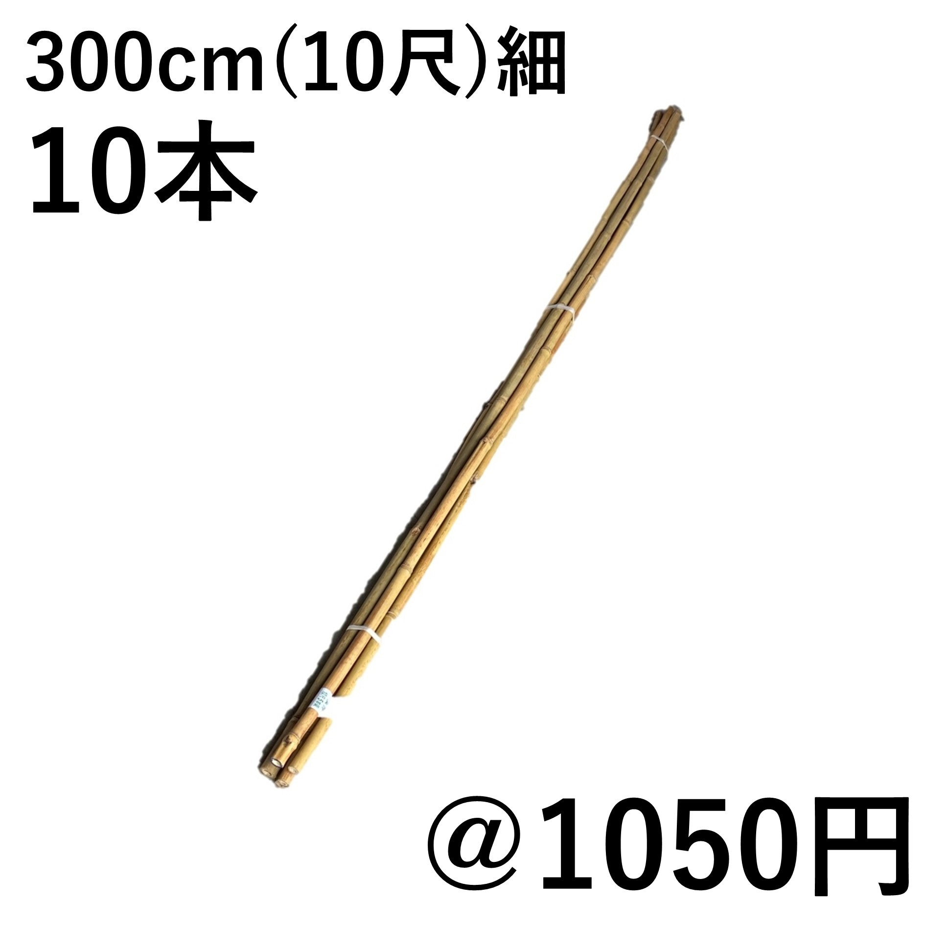 篠竹 女竹８０本以上 立枯れ硬化保管 篠竹 女竹80本以上 立枯れ硬化保管 【公式通販】