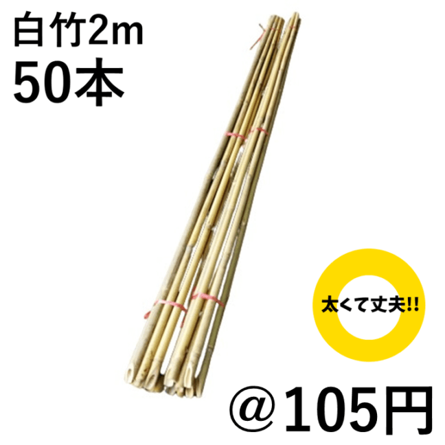 尺八本体 竹製 2本セット 約60cmと50cm 71DRtCqxF5L._AC_UF350,