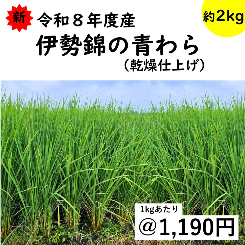 伊勢錦 青わら/稲架掛けわら