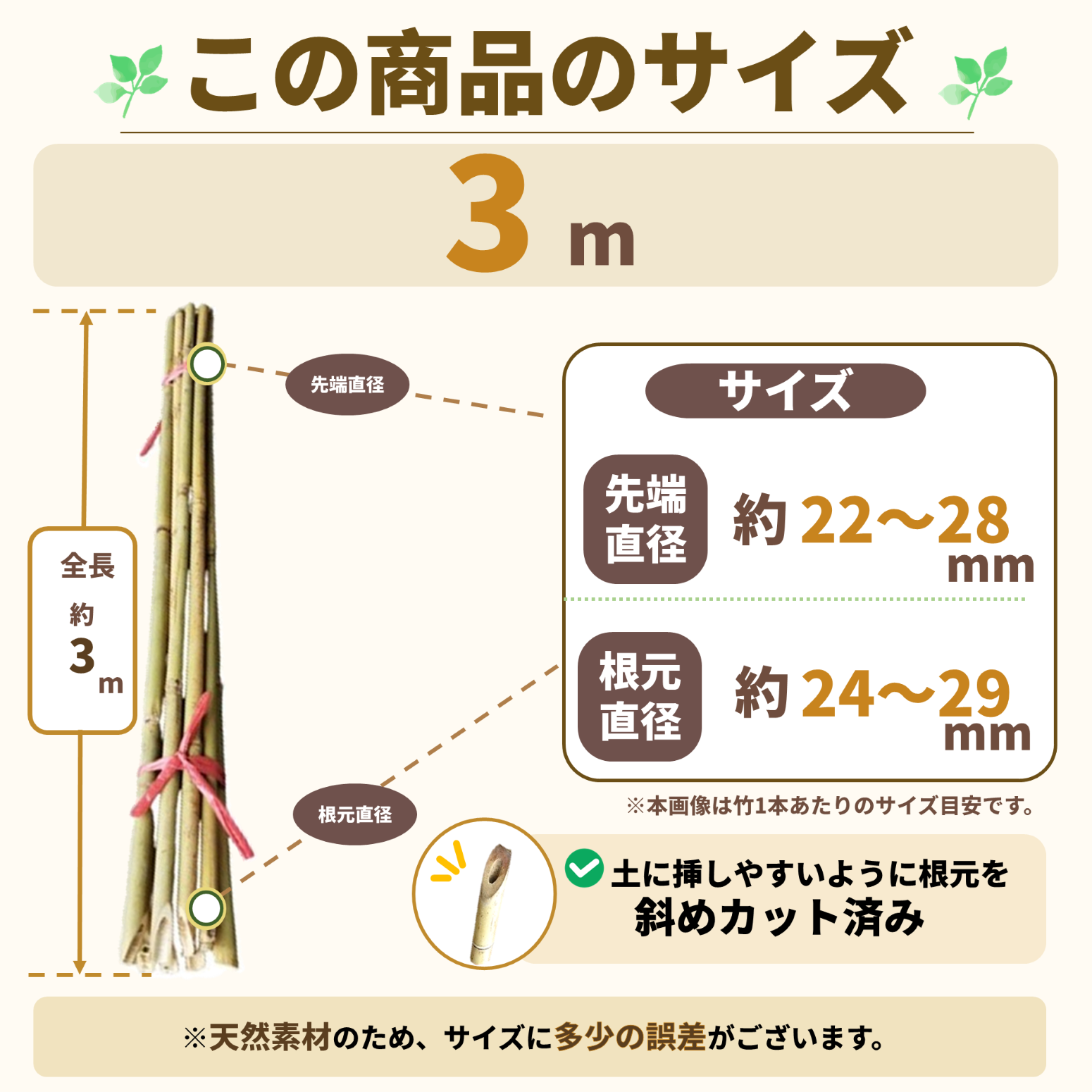 白竹 （晒竹）3m×100本 肉厚で耐久性のある竹。 （支柱、雪囲い、竹垣