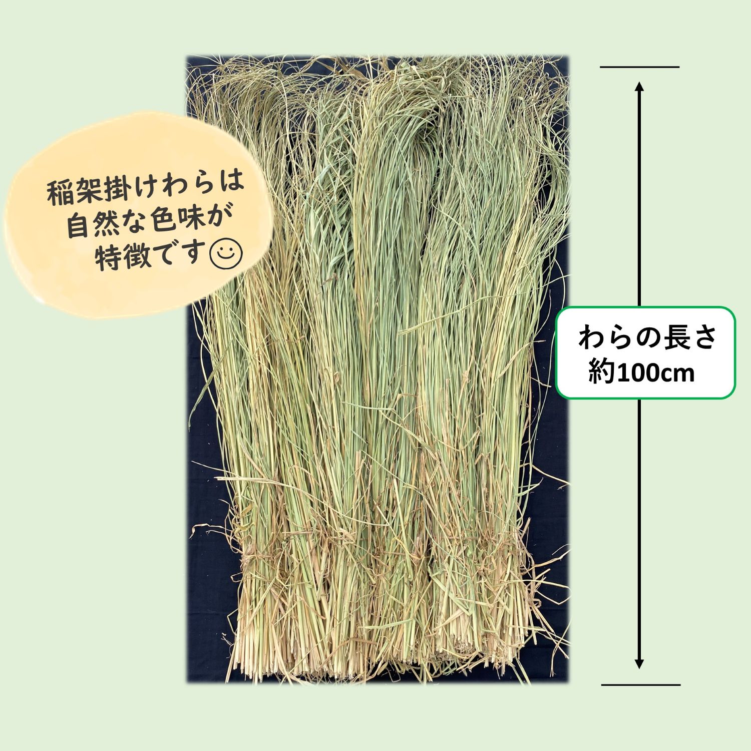 令和7年度産 伊勢錦の稲架掛けわら約2㎏ 新潟産の国産藁 しめ縄や工芸品に