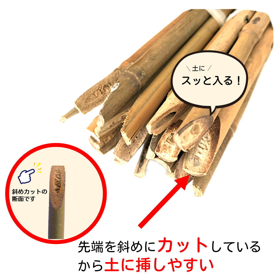 女竹 60cm（2尺）×1000本 篠竹 農業用、園芸用の支柱など