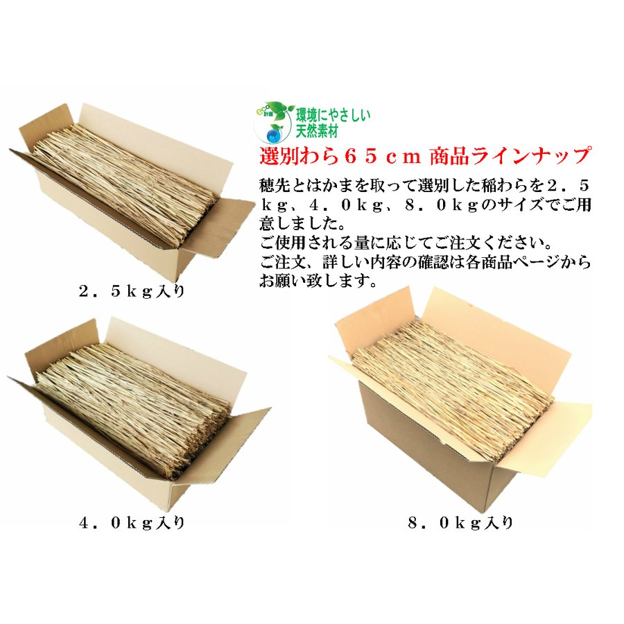 選別わら 8kg 12箱（パレット） 稲藁をほぐして使いやすくした敷きわら