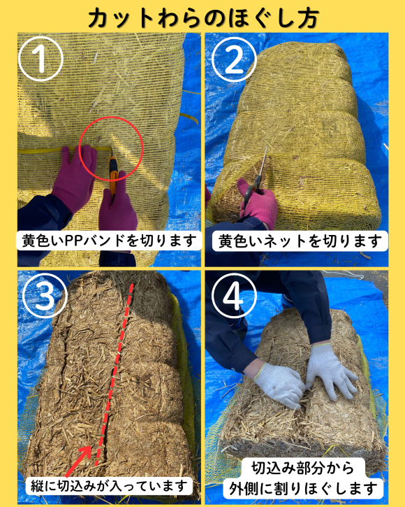 カットわら ハーフカット（約10kg） 2個｜臼井農畜産オンラインストア