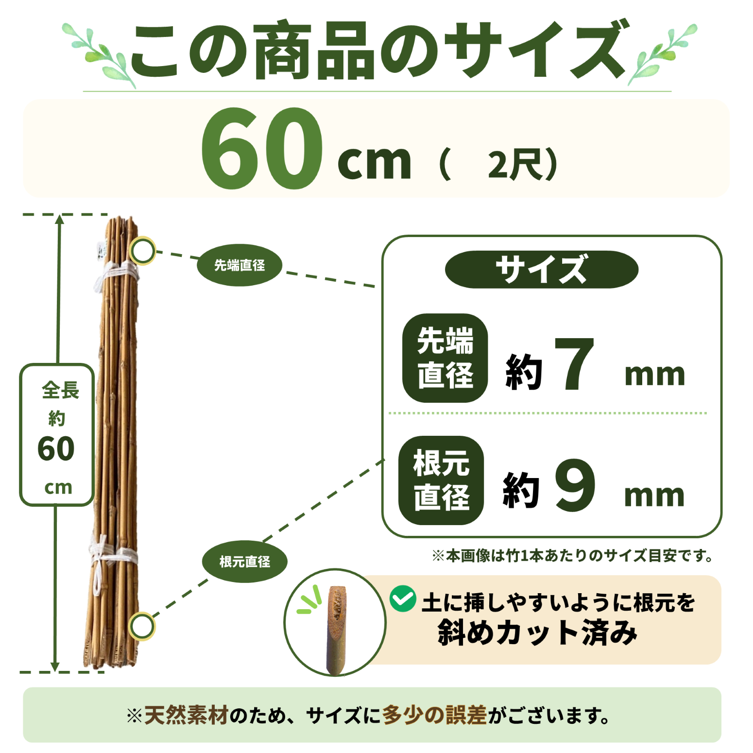 女竹 60cm（2尺）×50本 篠竹 農業用、園芸用の支柱など 竹 支柱