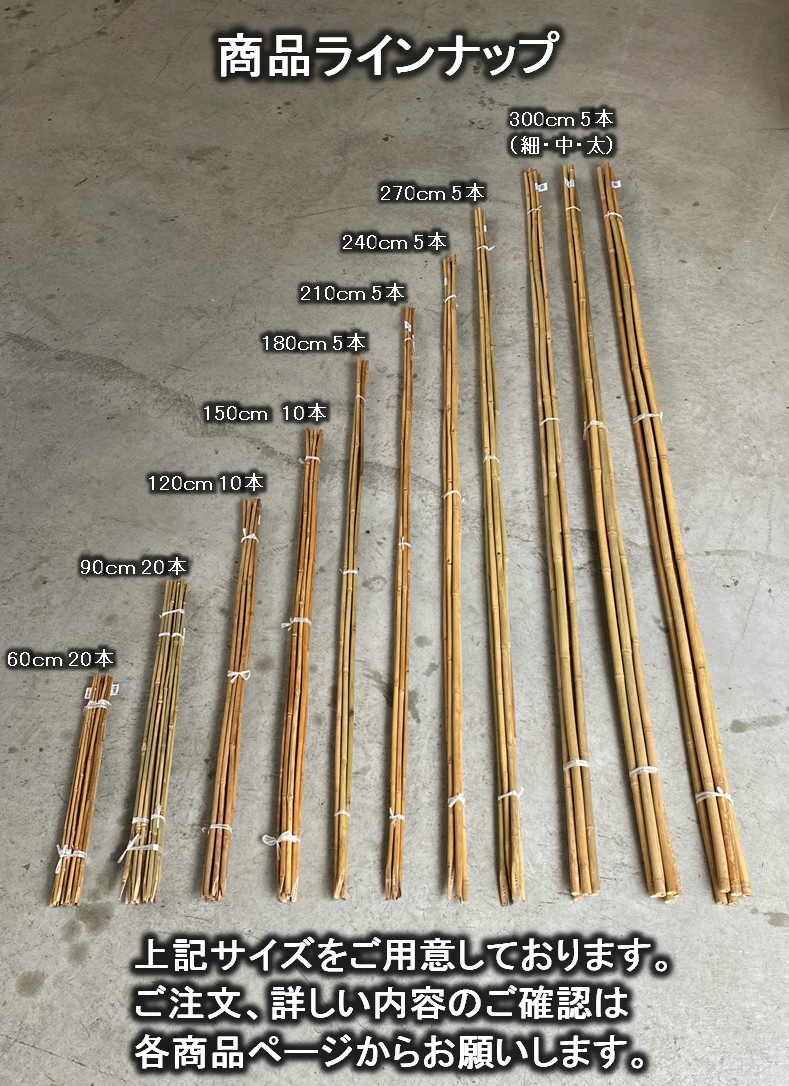 女竹 300cm（10尺）細 10本（カットなし） 篠竹 農業用、園芸用の支柱