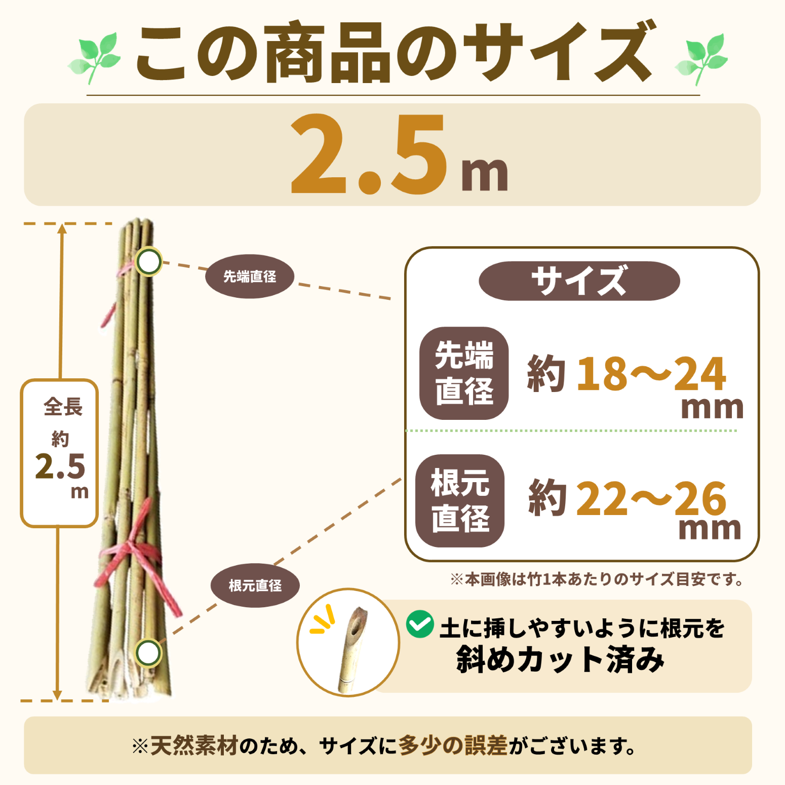 白竹 （晒竹）2.5m×20本 肉厚で耐久性のある竹。（支柱、雪囲い、竹垣