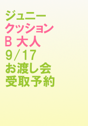 ˡå󡡣͡9/17Ϥͽ
