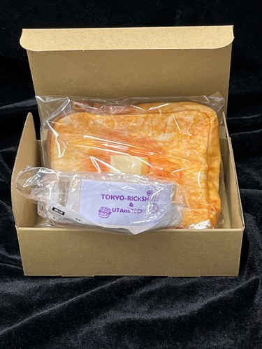 ����ϼ֤��󥻥åȡ�LED�Х󥰥�饤�ȡ��ѥ󷿥ޥ���ݡ���