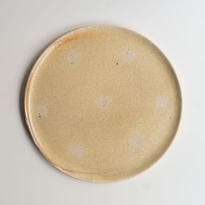 【個展】平皿大ホワイト点　山口和声