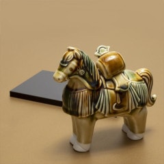 �����⻰��ʡ�Ⱦ����