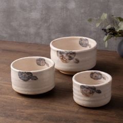 ���� ��ʸ �Ⱦ�ȭ��Shino ��Tsubaki�� Small Bowl Set of 3