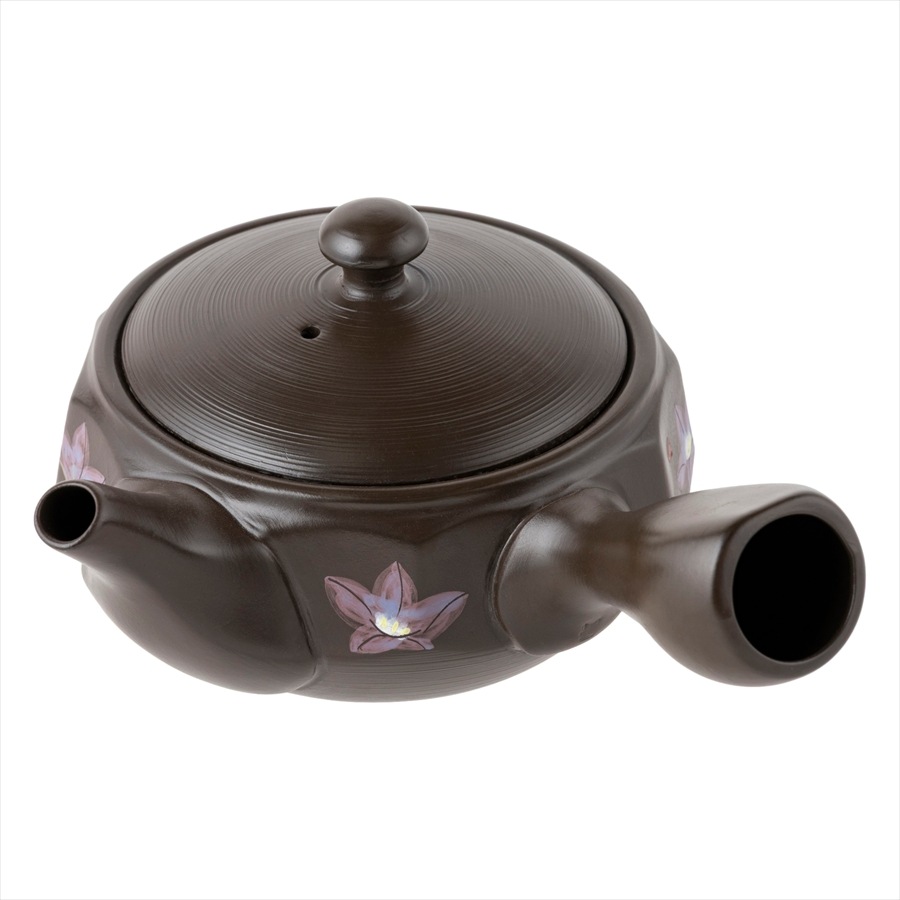 �ݽ� 12�̥��åȵ˹� ����