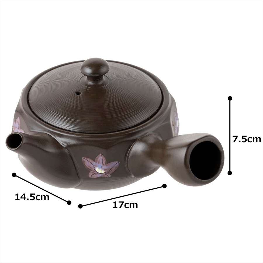 �ݽ� 12�̥��åȵ˹� ����