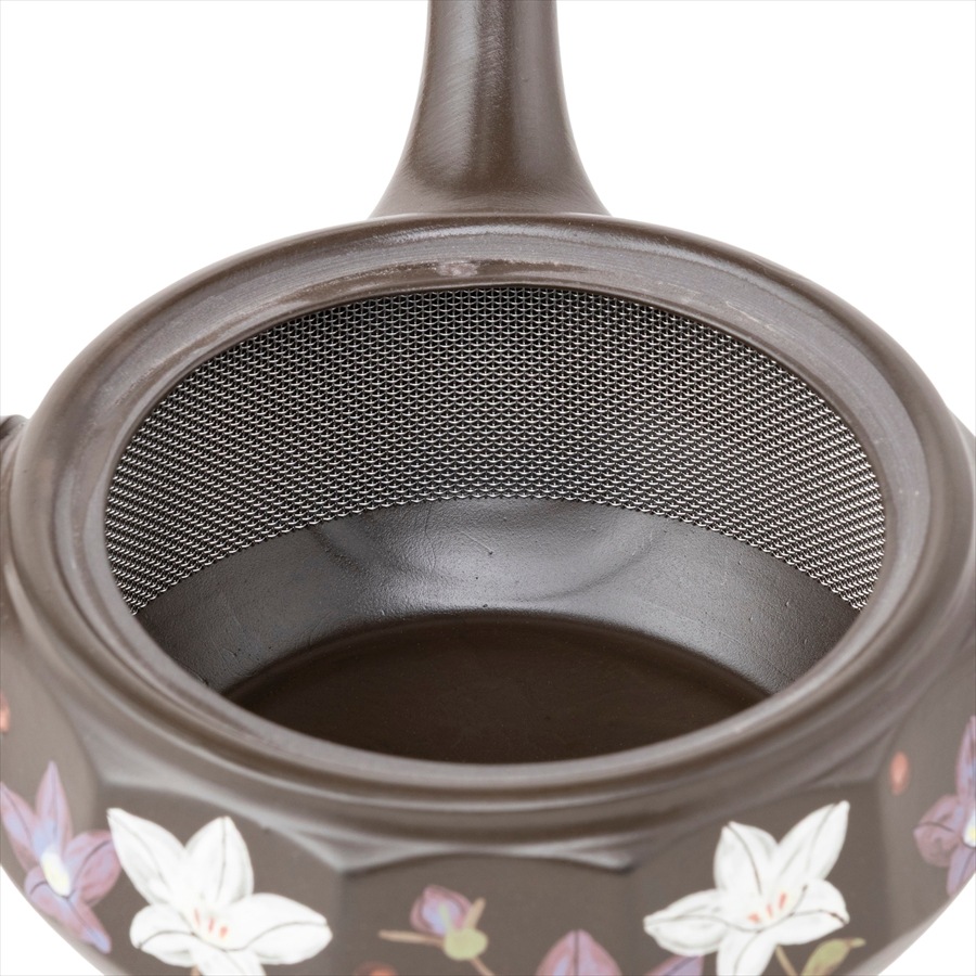 �ݽ� 12�̥��åȵ˹� ����