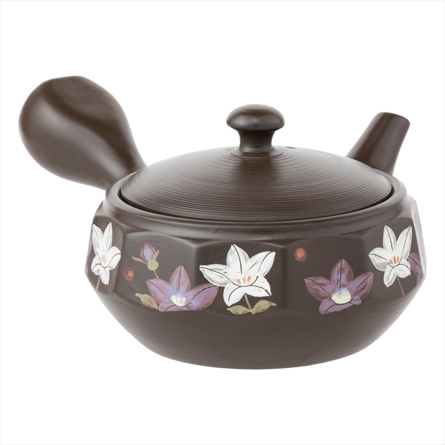 �ݽ� 12�̥��åȵ˹� ����