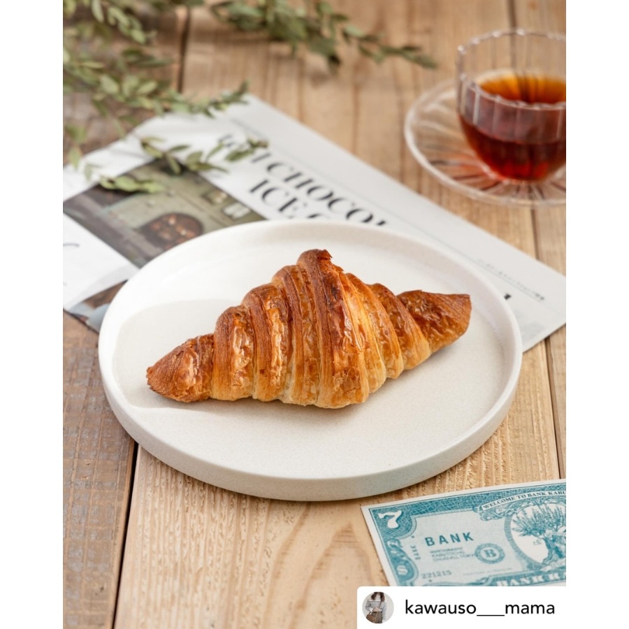 �ե�å� �饦��ɥץ졼�� 20cm